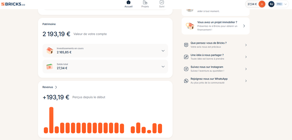 Dashboard Bricks après connexion (vue portefeuille)